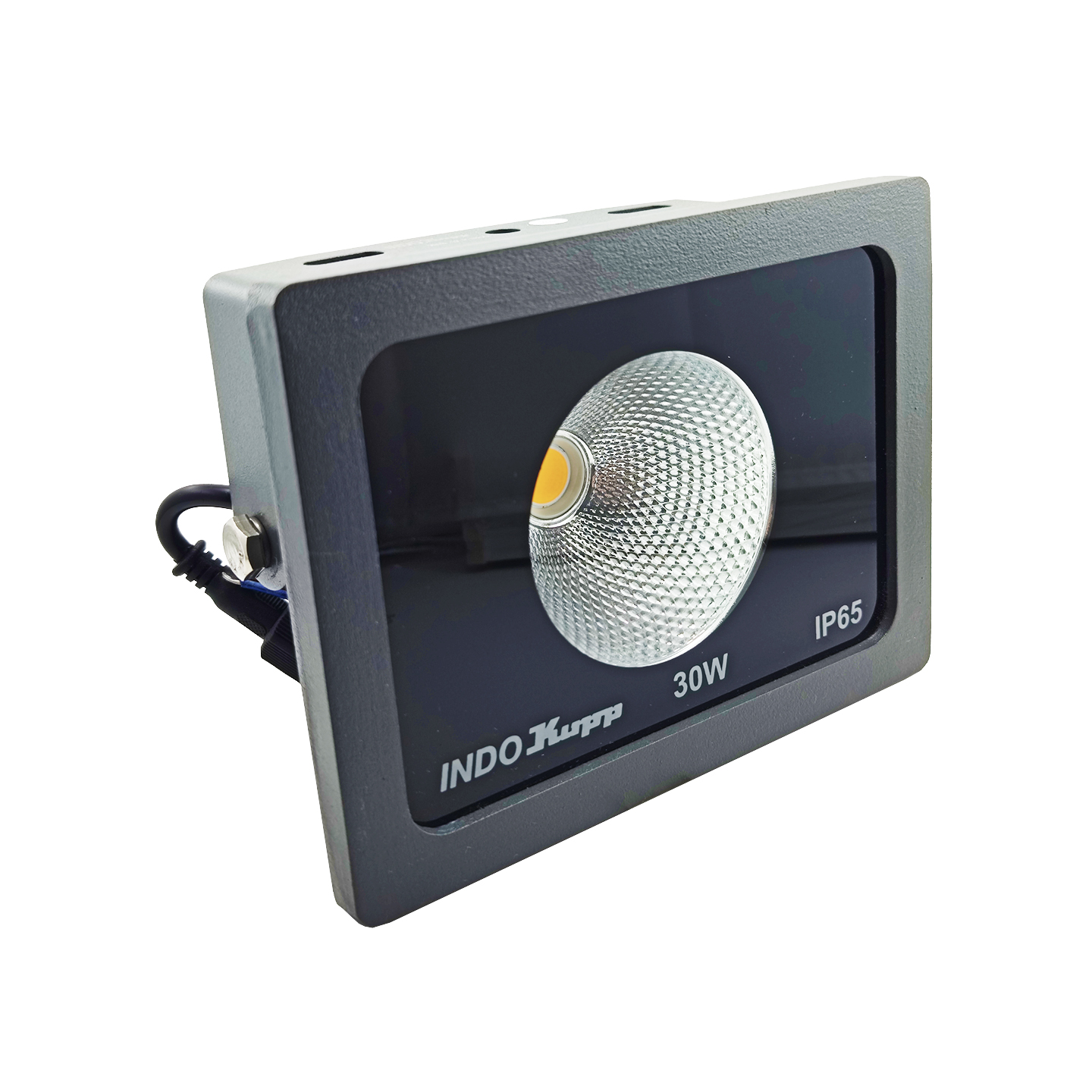 پرژکتور 30 وات مدل COB IP65 ایندوکوپ