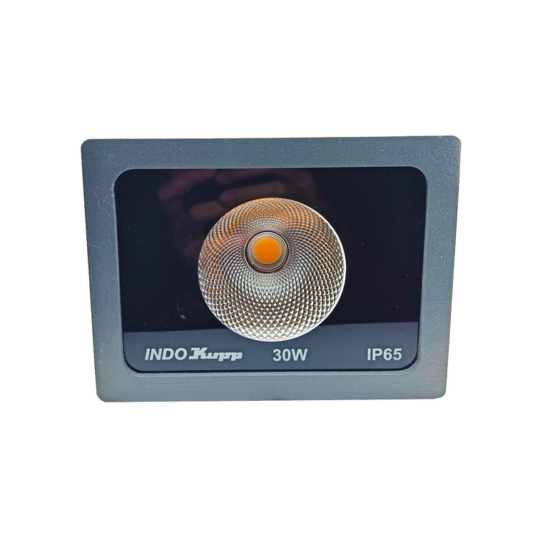پرژکتور 30 وات مدل COB IP65 ایندوکوپ