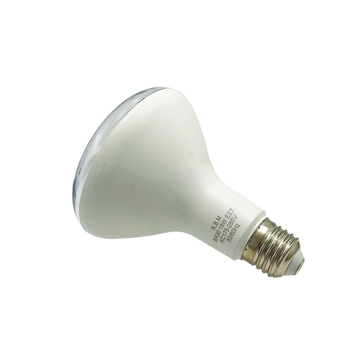 لامپ رشد گیاه 15 وات